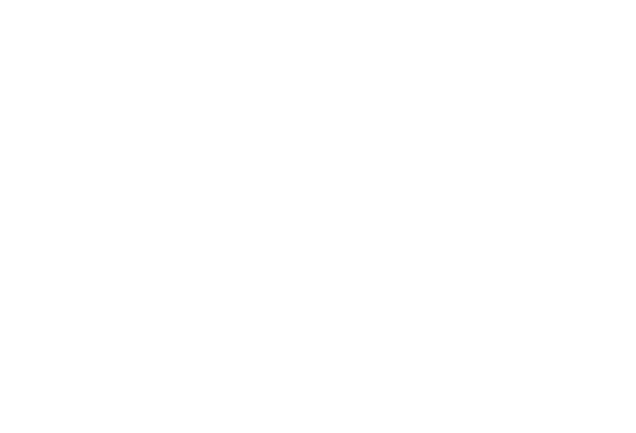 Rocket Domes Logo White